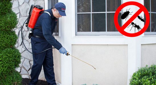 Elmalı Fare İlaçlama böcek ilaçlama ve haşere kontrolü — ilaclama-tr.com